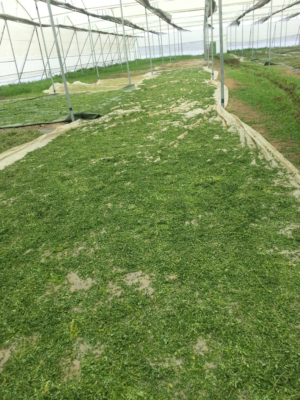 Quality testing at Aarohi Farm